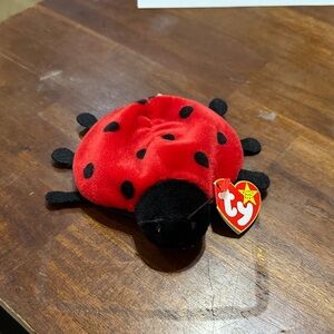 Ty Plush Ladybug in Red and Black